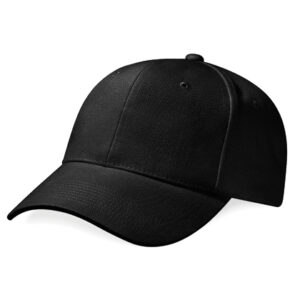 Pro-Style Heavy Brushed Cotton Cap
