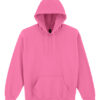 Adult Hooded Sweatshirt