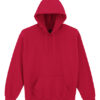 Adult Hooded Sweatshirt