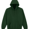 Adult Hooded Sweatshirt