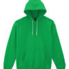 Adult Hooded Sweatshirt
