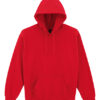 Adult Hooded Sweatshirt
