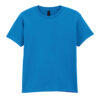 Youth T-Shirt