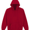Adult Hooded Sweatshirt