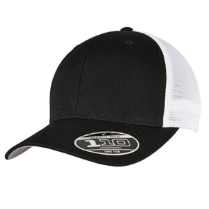 110 Mesh 2-Tone Cap