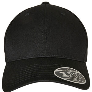 Flexfit 110 Curved Visor Snapback